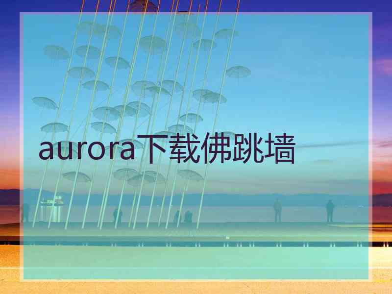 aurora下载佛跳墙