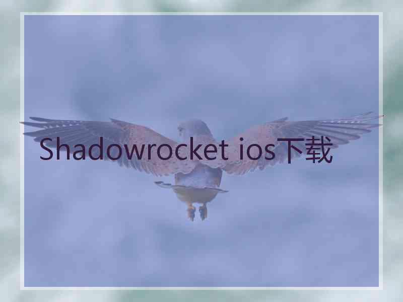 Shadowrocket ios下载