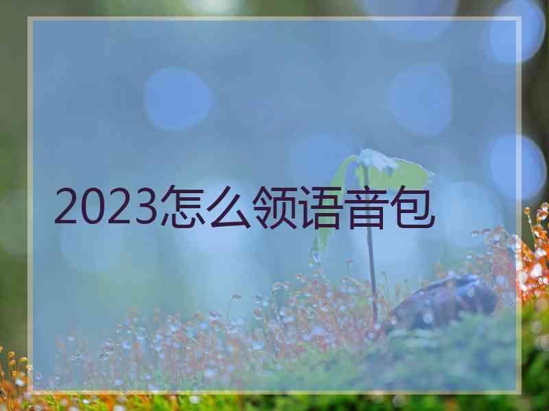 2023怎么领语音包