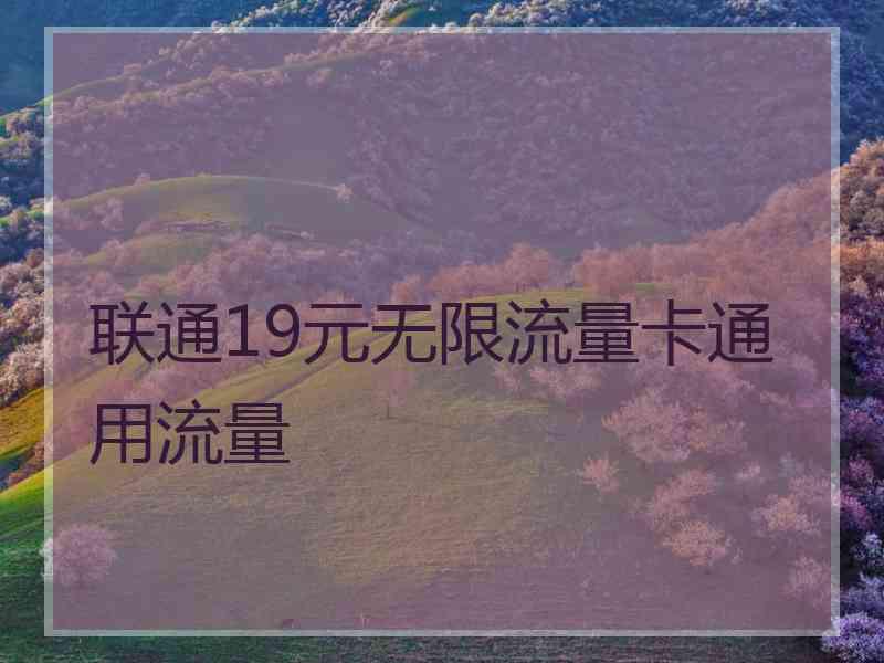 联通19元无限流量卡通用流量