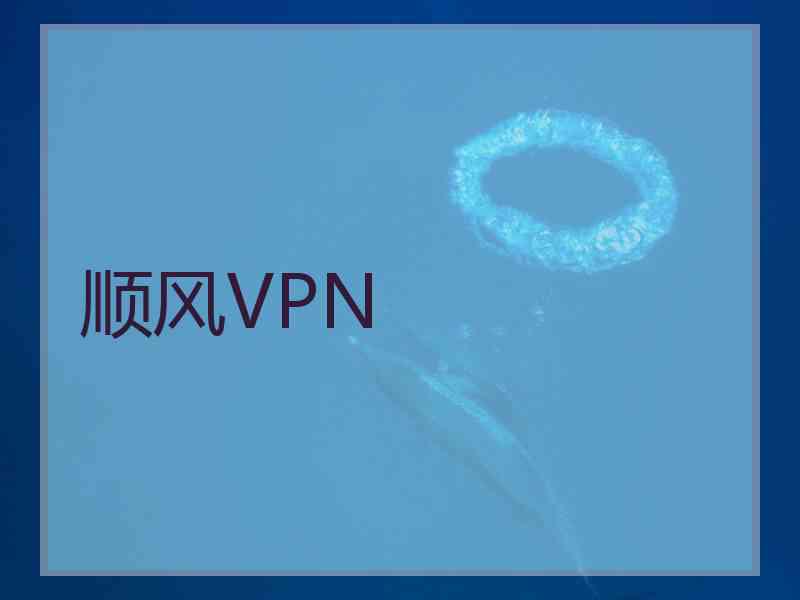 顺风VPN