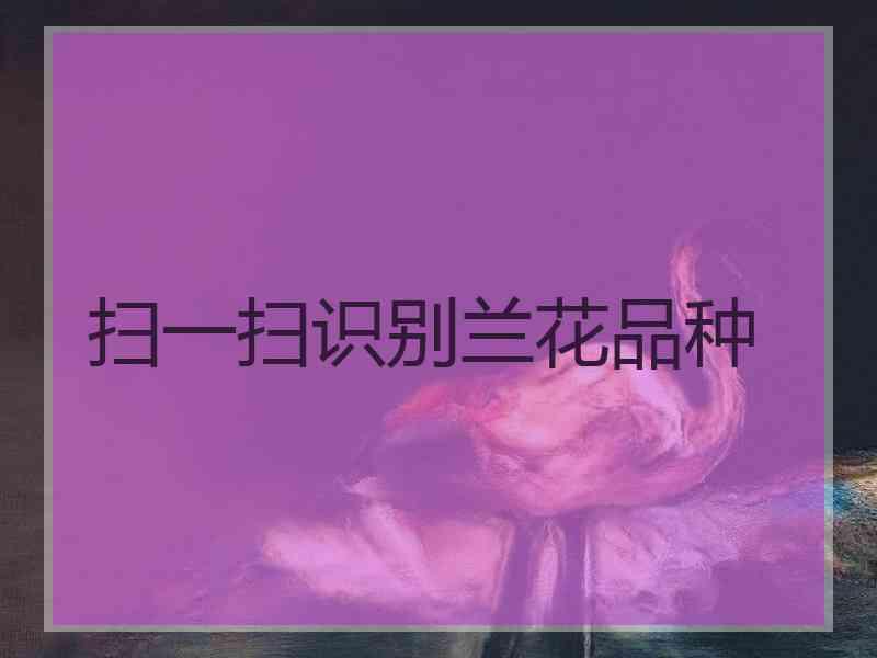 扫一扫识别兰花品种