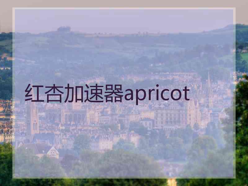 红杏加速器apricot