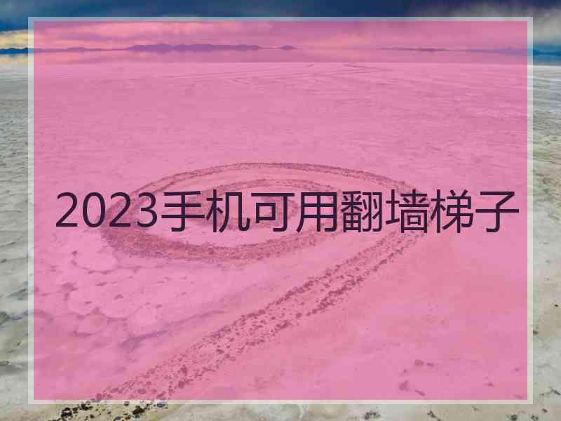 2023手机可用翻墙梯子