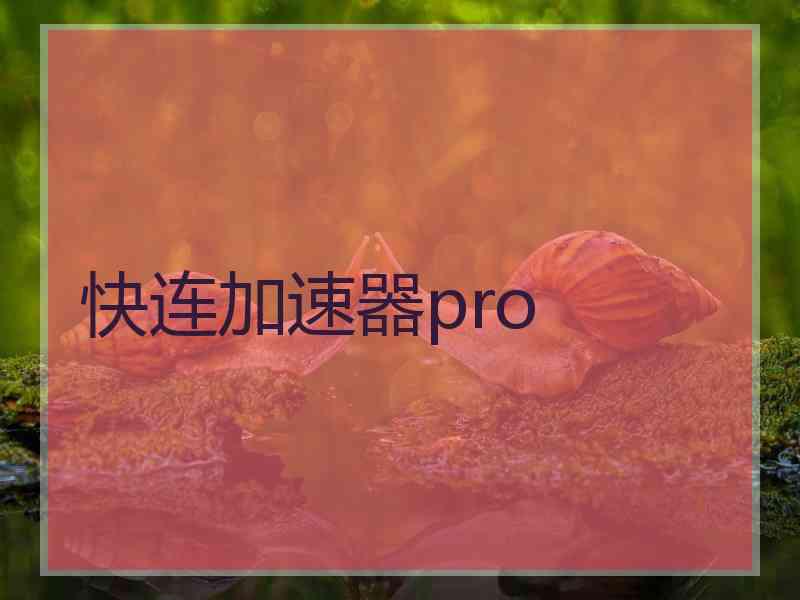 快连加速器pro