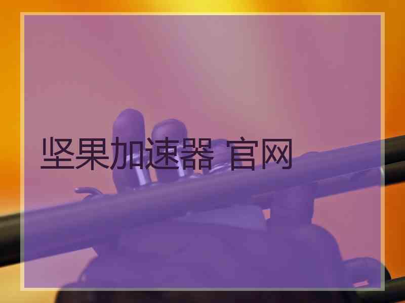 坚果加速器 官网