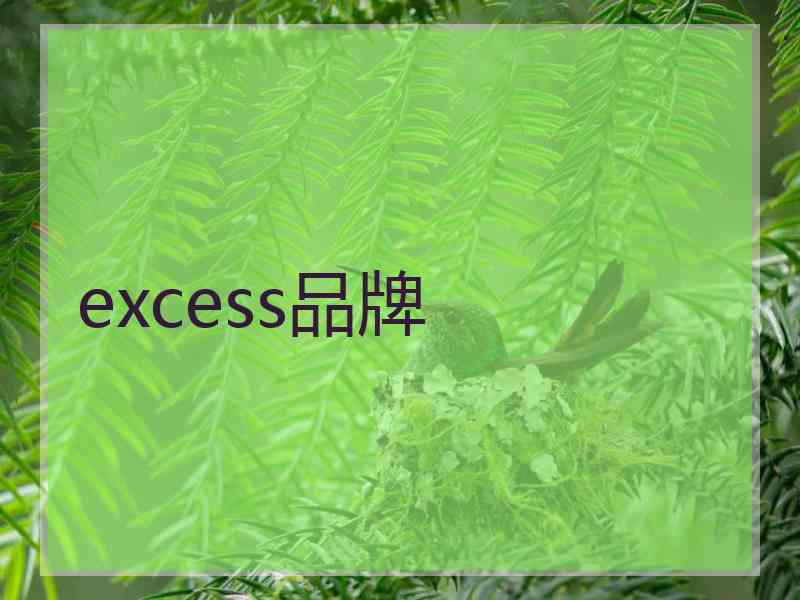 excess品牌