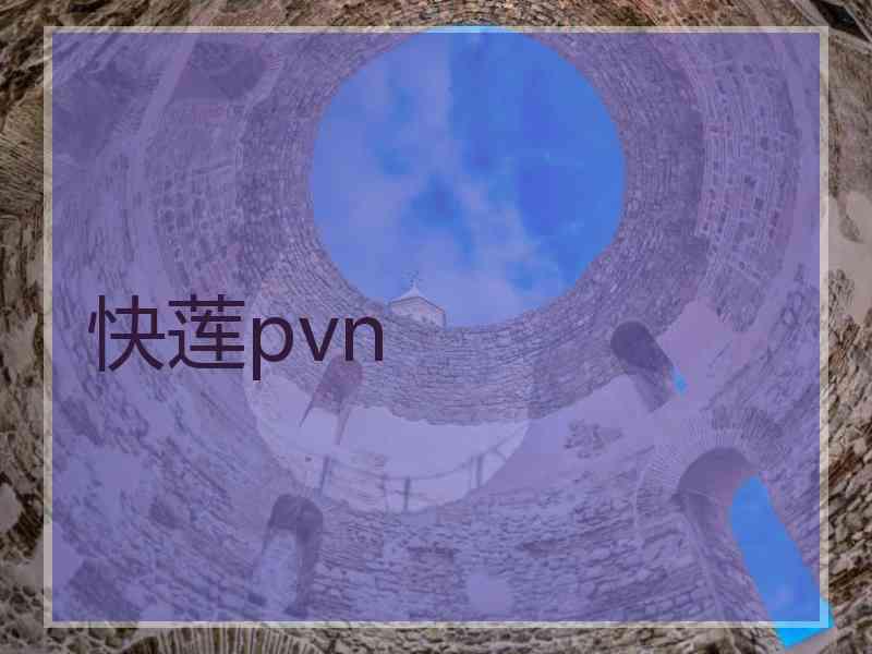 快莲pvn