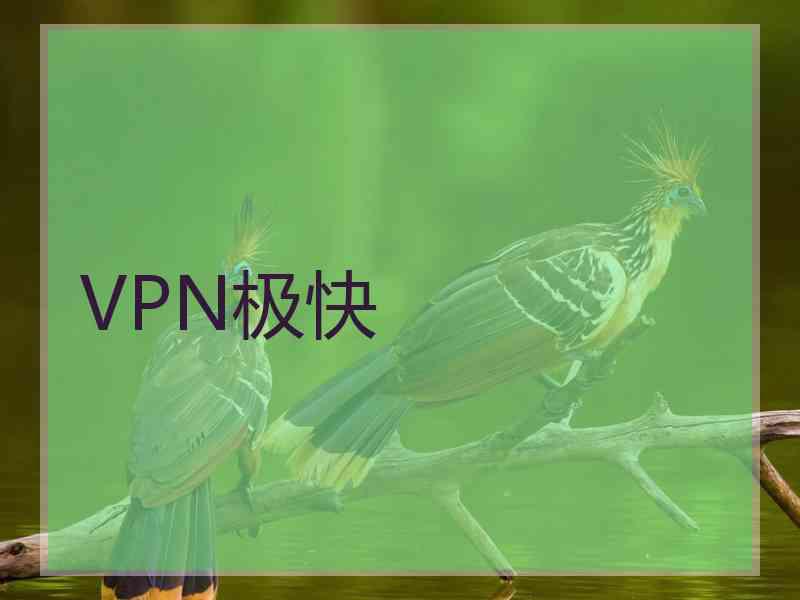 VPN极快