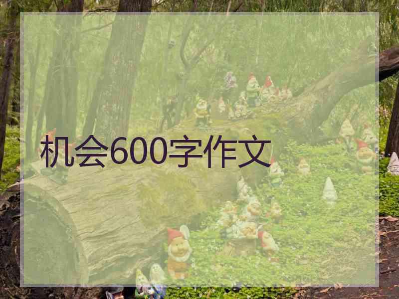 机会600字作文