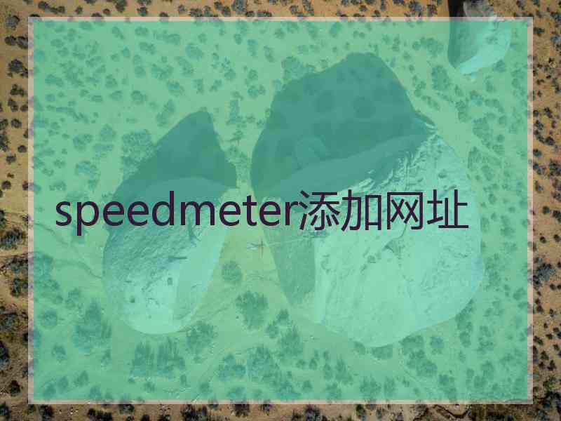 speedmeter添加网址