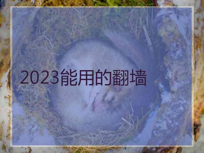 2023能用的翻墙