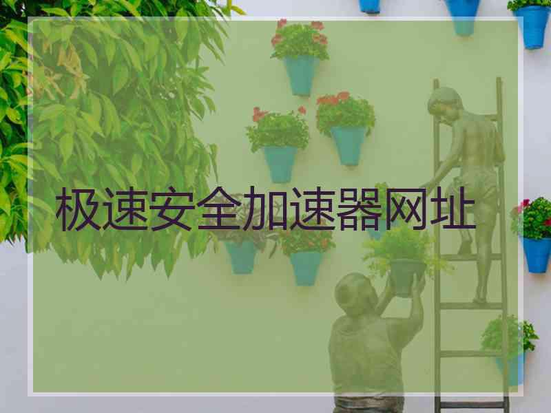 极速安全加速器网址