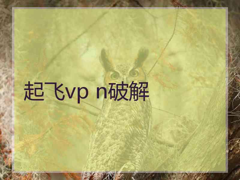 起飞vp n破解