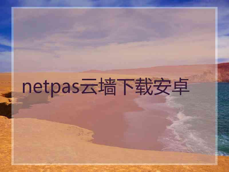 netpas云墙下载安卓