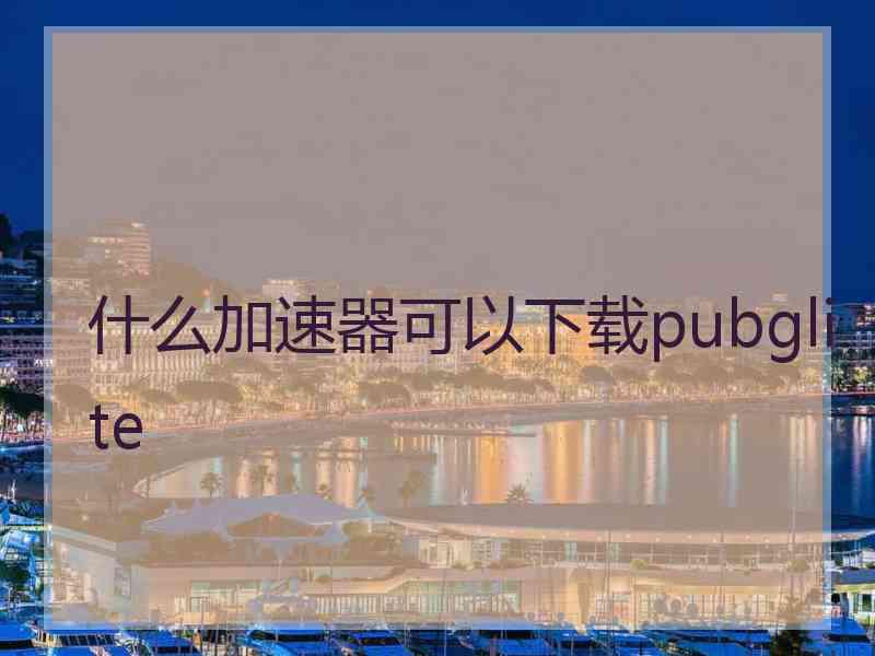 什么加速器可以下载pubglite