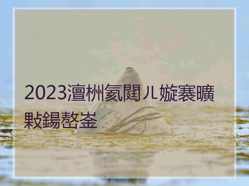 2023澶栦氦閮ㄦ嫙褰曠敤鍚嶅崟