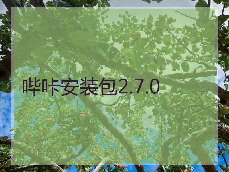 哔咔安装包2.7.0