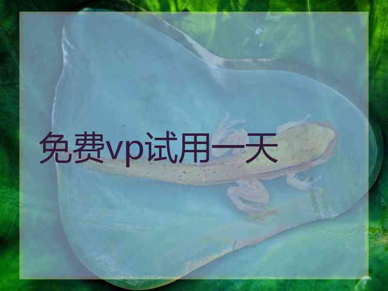 免费vp试用一天