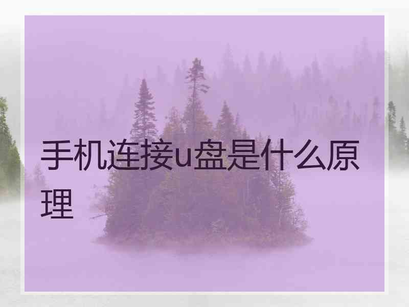 手机连接u盘是什么原理