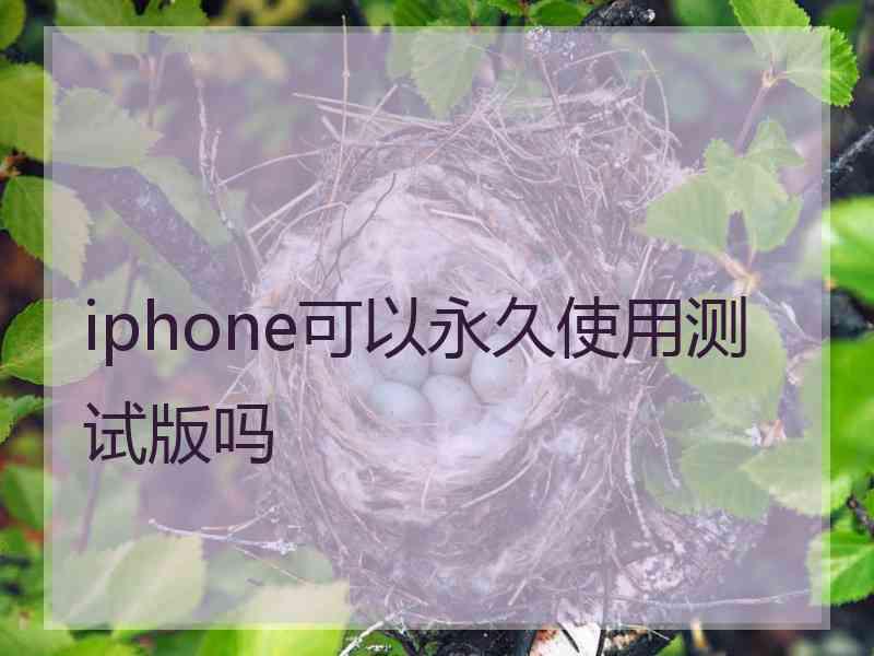 iphone可以永久使用测试版吗