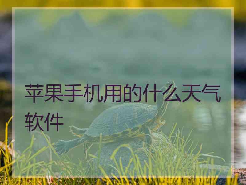 苹果手机用的什么天气软件