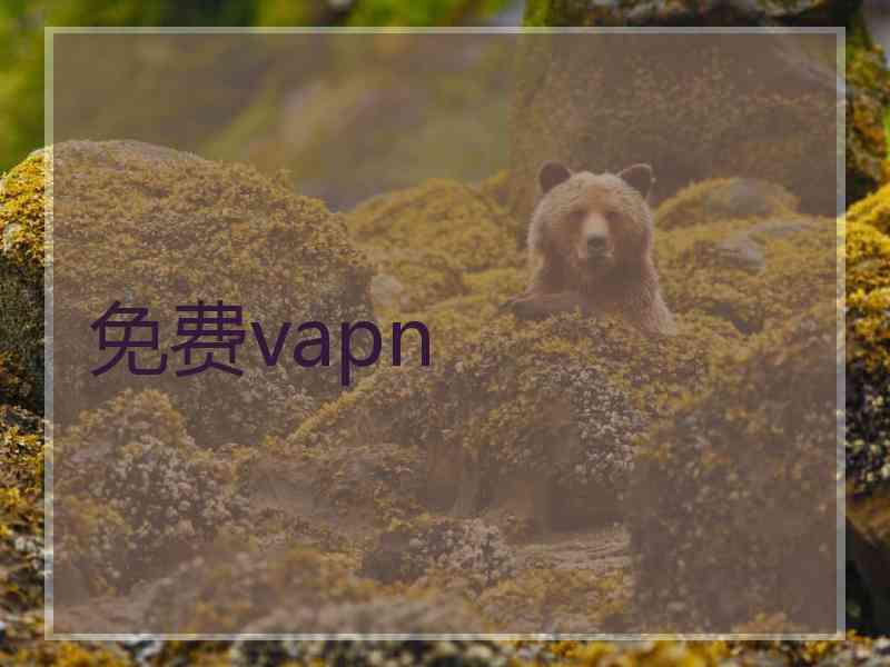 免费vapn