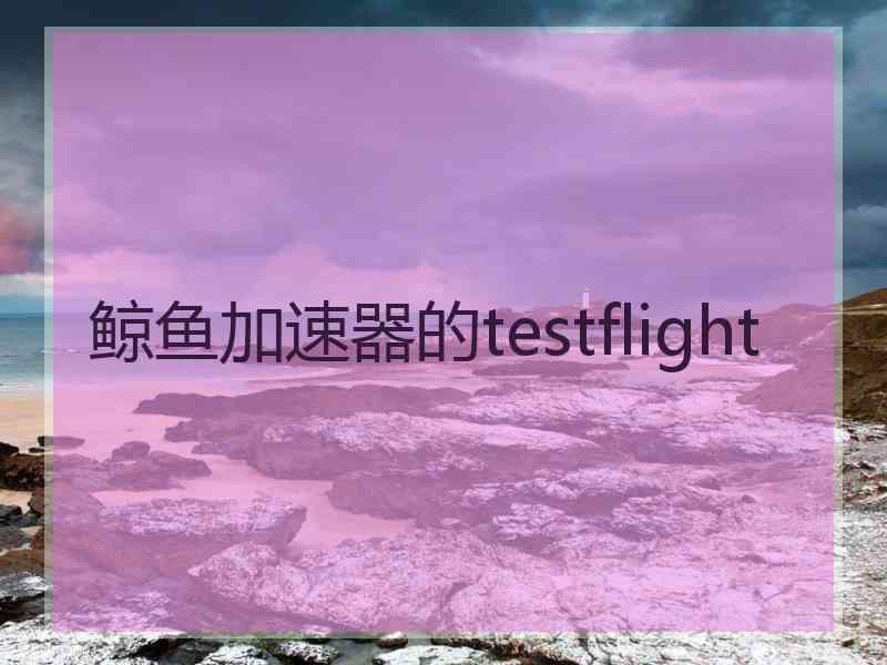 鲸鱼加速器的testflight