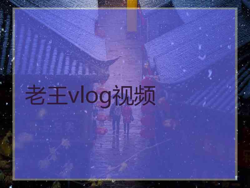 老王vlog视频