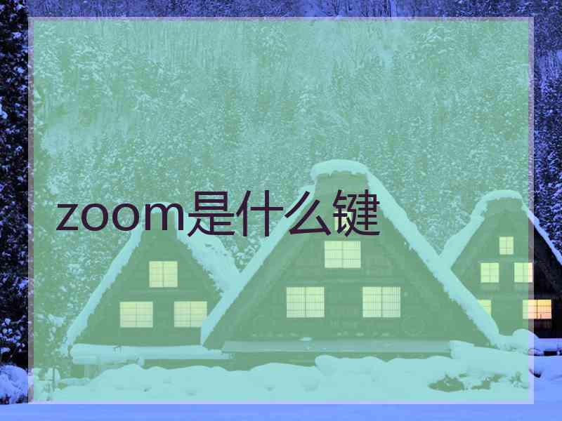 zoom是什么键