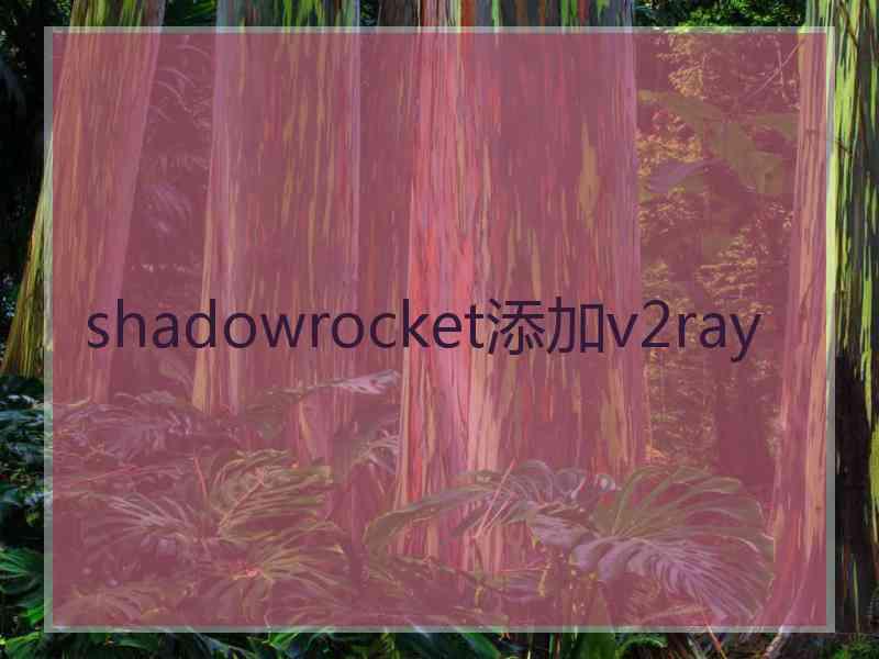 shadowrocket添加v2ray