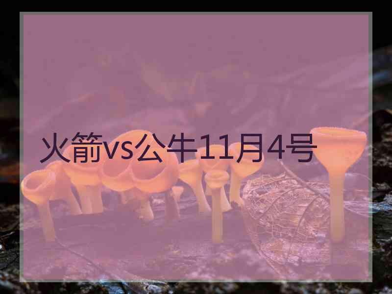 火箭vs公牛11月4号