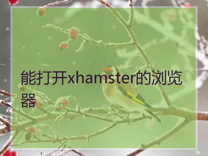 能打开xhamster的浏览器