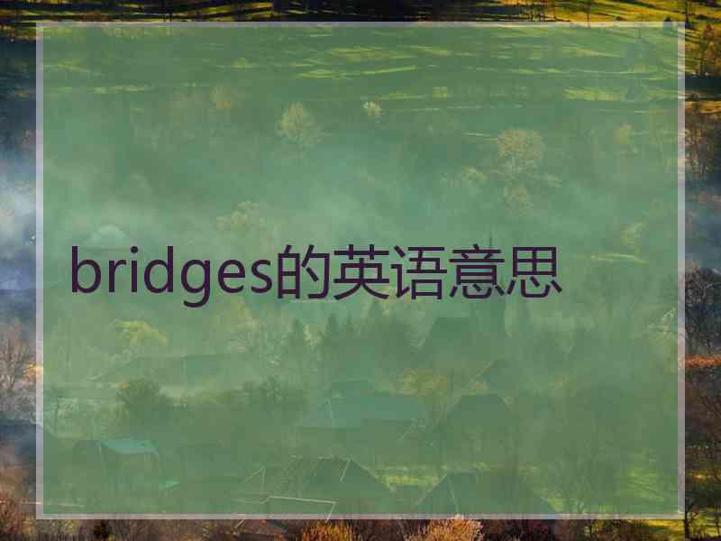 bridges的英语意思