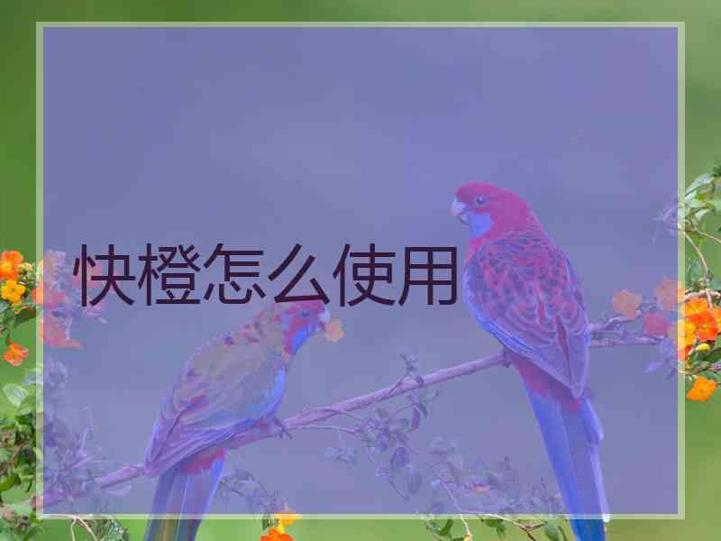 快橙怎么使用