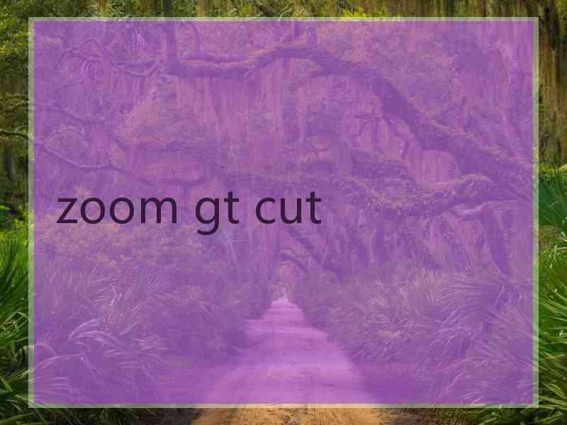 zoom gt cut