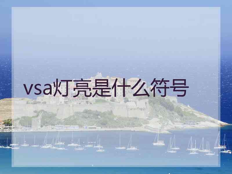 vsa灯亮是什么符号