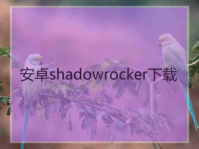 安卓shadowrocker下载