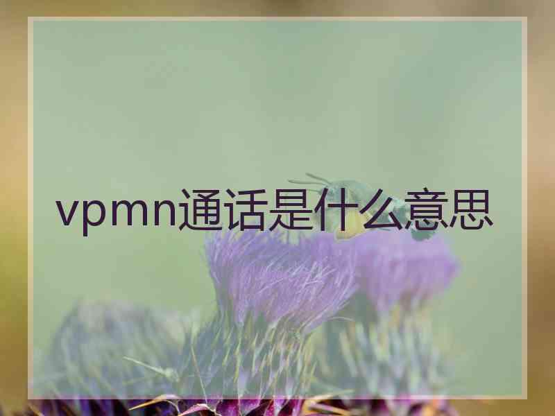 vpmn通话是什么意思