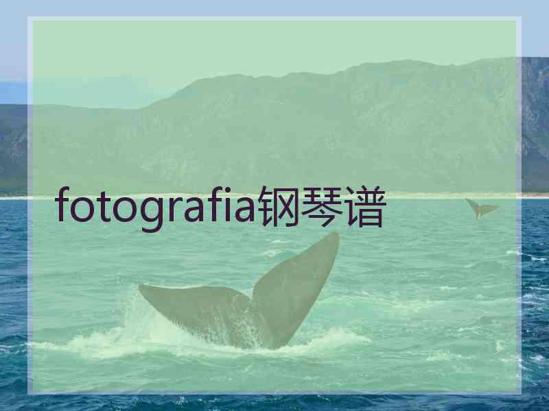 fotografia钢琴谱