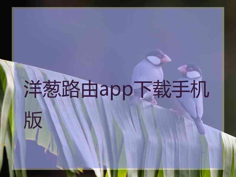 洋葱路由app下载手机版