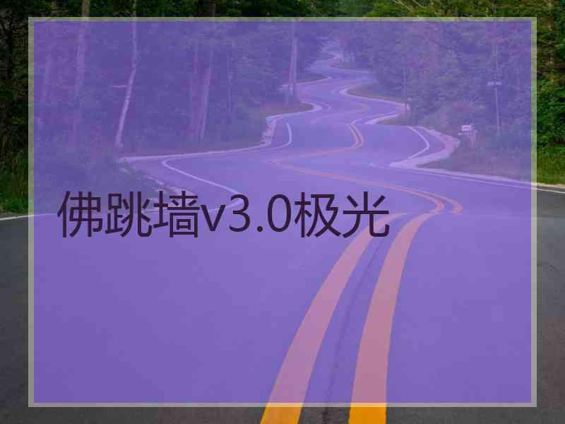 佛跳墙v3.0极光