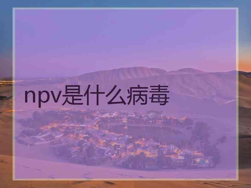 npv是什么病毒