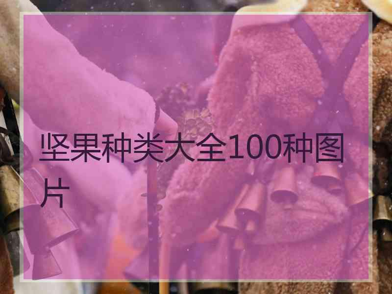 坚果种类大全100种图片