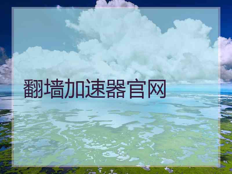 翻墙加速器官网