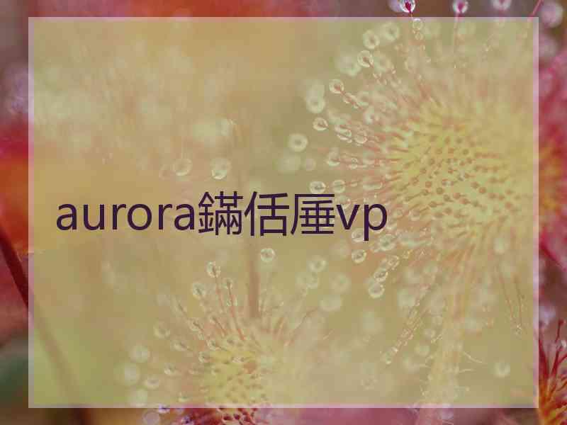 aurora鏋佸厜vp