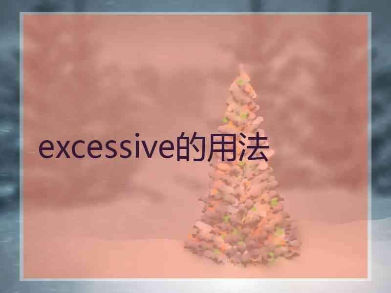 excessive的用法