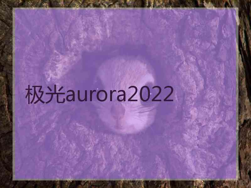 极光aurora2022