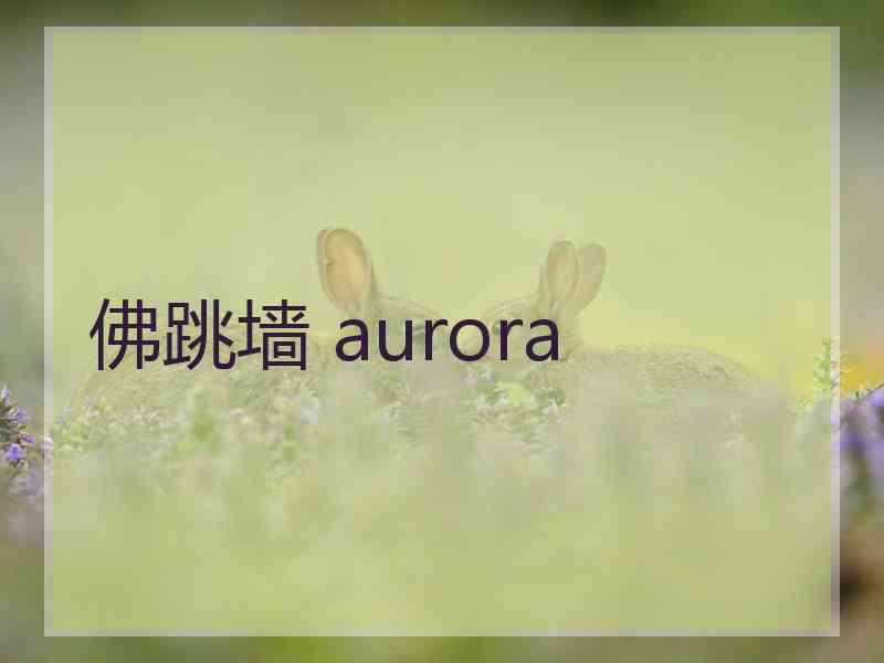 佛跳墙 aurora