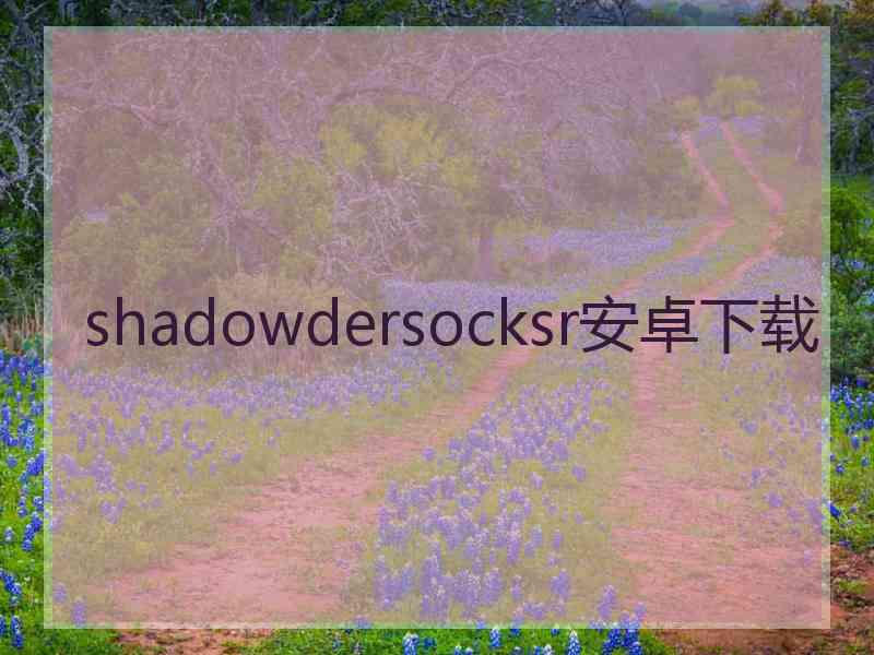 shadowdersocksr安卓下载